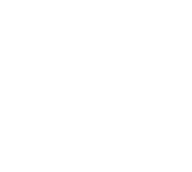Adam Fejfar Logo Watermark